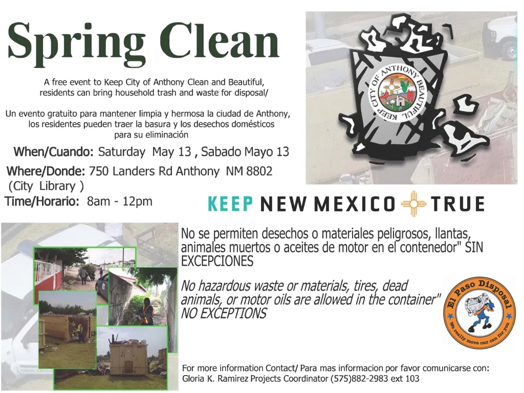 Spring Clean Flyer